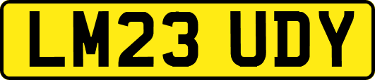 LM23UDY