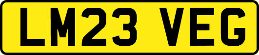 LM23VEG