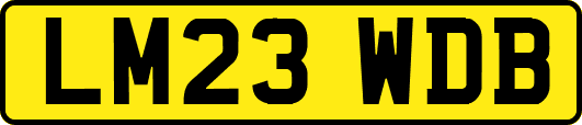 LM23WDB