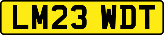 LM23WDT