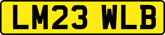 LM23WLB