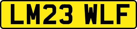 LM23WLF