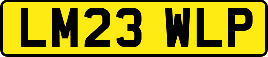 LM23WLP