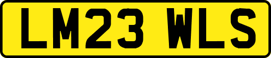LM23WLS