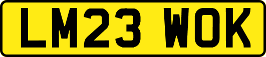 LM23WOK