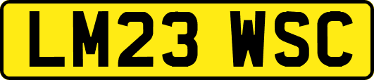LM23WSC