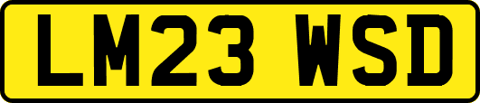 LM23WSD