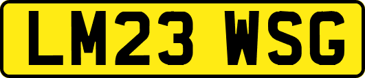 LM23WSG