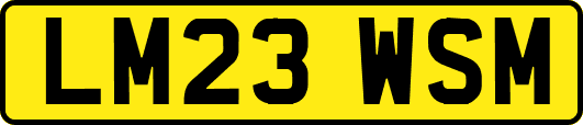 LM23WSM