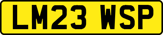 LM23WSP