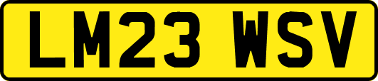 LM23WSV