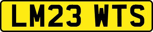 LM23WTS