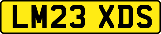 LM23XDS