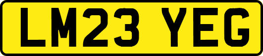 LM23YEG