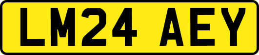 LM24AEY