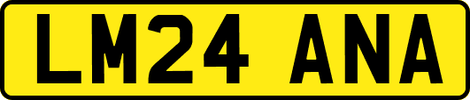 LM24ANA