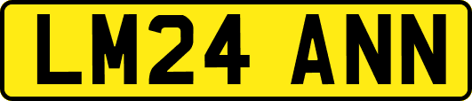 LM24ANN