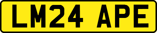 LM24APE