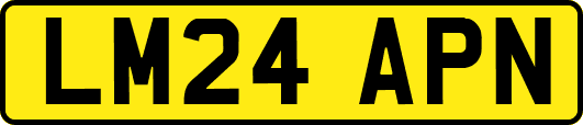 LM24APN