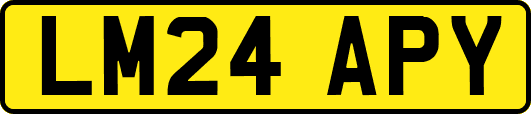 LM24APY