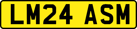 LM24ASM