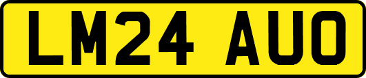 LM24AUO