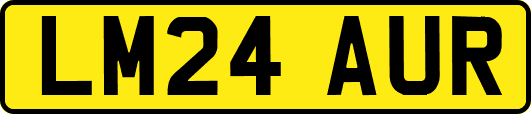 LM24AUR