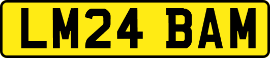 LM24BAM