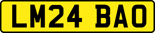LM24BAO