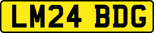 LM24BDG
