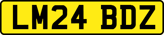 LM24BDZ