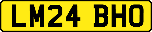 LM24BHO