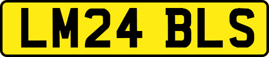 LM24BLS