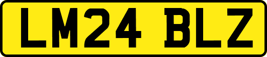 LM24BLZ