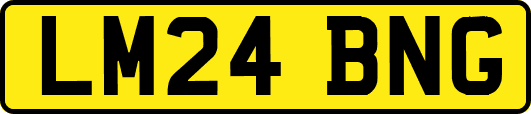 LM24BNG