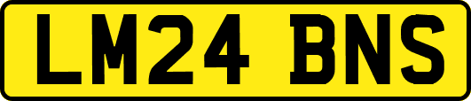 LM24BNS