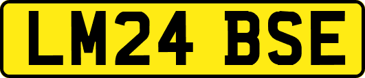 LM24BSE