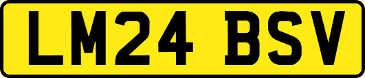 LM24BSV