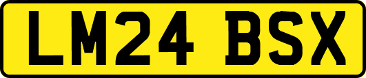 LM24BSX
