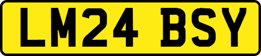 LM24BSY