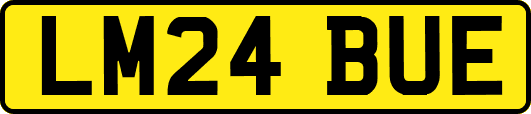 LM24BUE
