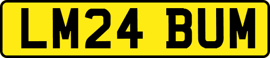 LM24BUM