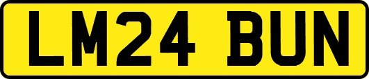 LM24BUN