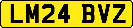 LM24BVZ