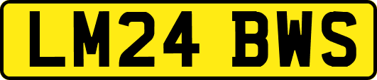 LM24BWS