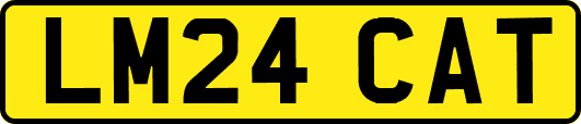 LM24CAT