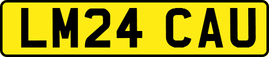 LM24CAU