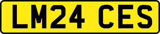 LM24CES
