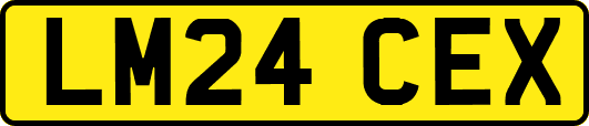 LM24CEX