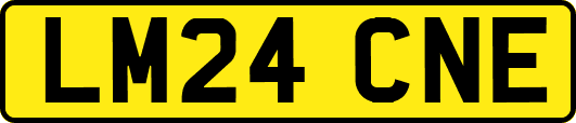 LM24CNE